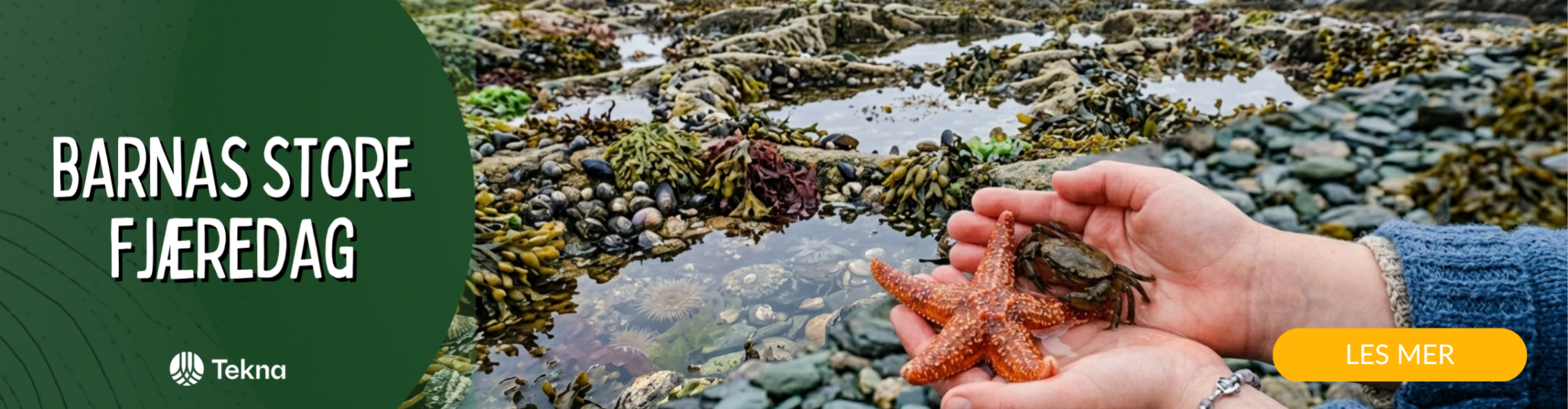 Barnas Store Fjæredag