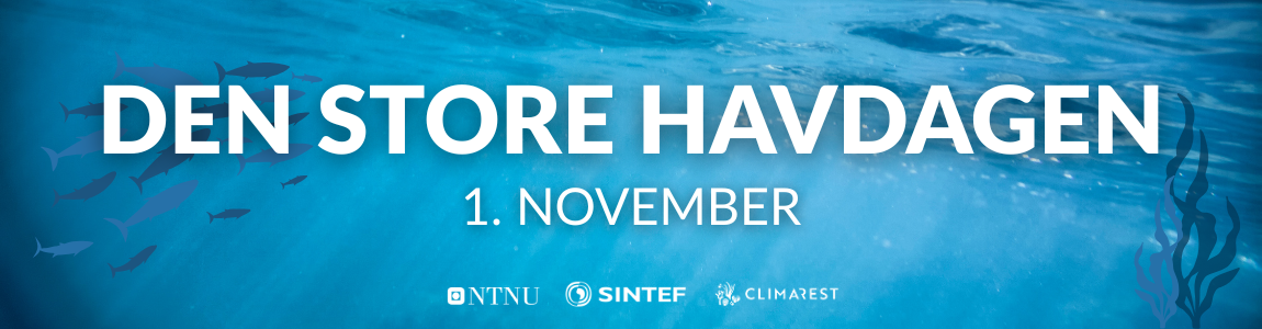 Den store havdagen med bølgebakgrunn